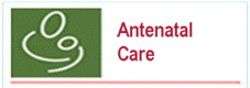 antenatal services antenatal services